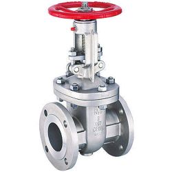 2" STAINLESS STEEL GATE VALVE A351CF8M 150# BB RF TRIM 10