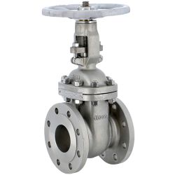 3/4" 304 STAINLESS STEEL GATE VALVE BB RF CLASS300 TR2 API 603