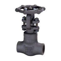 VLV GATE 800 WB NPT 1/2". 1/2 A105NLC OS&Y TR8