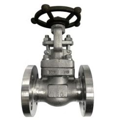 VLV GA 150 SS316 12. PK150RF10SL-GRF-CF8M
