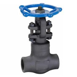 1/2" FORGED STEEL GATE VALVE 800# WB NPT A105 TR8