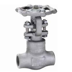 3/4" 316 STAINLESS STEEL GATE VALVE 800# WB NPT TR12