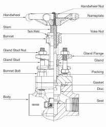 VLV GLB A182F316 800 3/4. SW BB OS&Y TR12