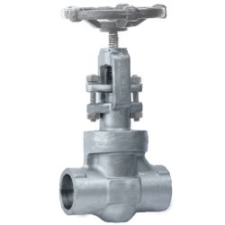 2" A182F316 STAINLESS STEEL GLOBE VALVE 800# WB NPT OS&Y TR12