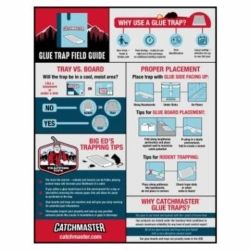 TRAP GLUE MOUSE & INSECT 