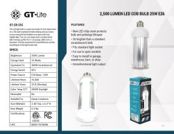 BULB LED 500L 300W 6