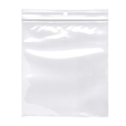 BAG ZIP+HOLE 10X12 100PC