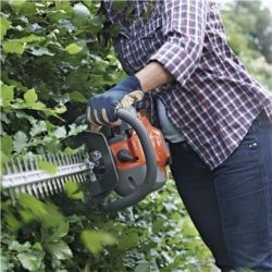 TRIMMER HEDGE 22