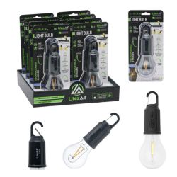 BULB RECHARG 100LUMEN W/ CARABINER