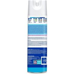 DISINFECTANT 19OZ