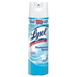 DISINFECTANT 19OZ