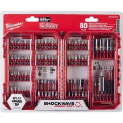 BIT DRIVER SET 80PC IMP 