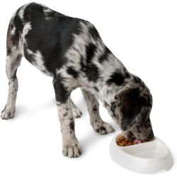 BOWL PET DOUBLE-DINER