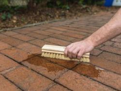 BRUSH ACID TAMPICO &WOOD