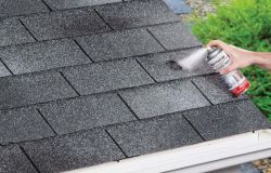 CLEANER/PRIMER CLR 12OZ