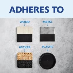 PAINT SPRAY CANY BLK 12OZ