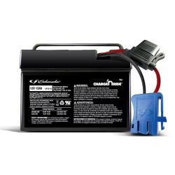 BATTERY REPLACE 12V 12AH