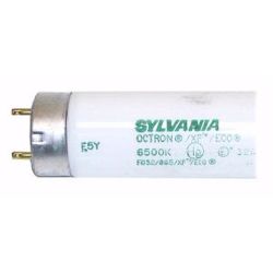 BULB 800 SER 32W 6500K FO32/865/XP/ECO
