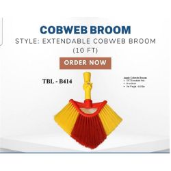 BROOM COBWEB 10 FT EXT