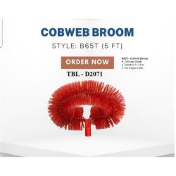 BROOM COBWEB