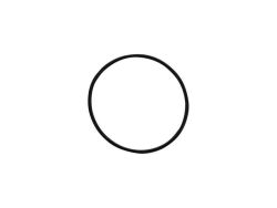 ORING VGT/TS450/60 HPDIAP 2"OD BUNA70 HPDIAPH-RGBDY